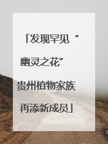 发现罕见“幽灵之花” 贵州植物家族再添新成员