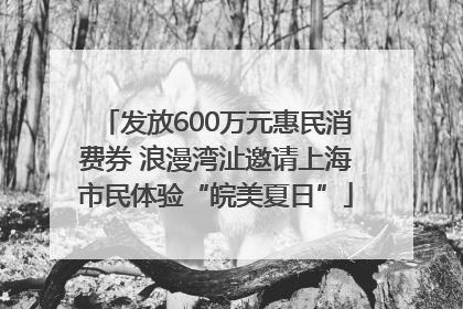 发放600万元惠民消费券 浪漫湾沚邀请上海市民体验“皖美夏日”