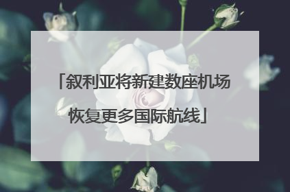 叙利亚将新建数座机场 恢复更多国际航线
