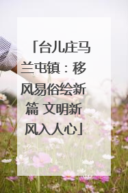 台儿庄马兰屯镇：移风易俗绘新篇 文明新风入人心