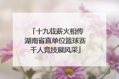 十九载薪火相传 湖南省直单位篮球赛千人竞技展风采