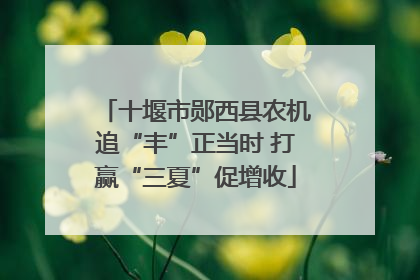 十堰市郧西县农机追“丰”正当时 打赢“三夏”促增收