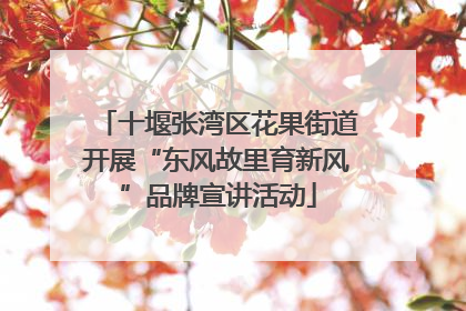 十堰张湾区花果街道开展“东风故里育新风”品牌宣讲活动
