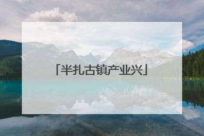 半扎古镇产业兴