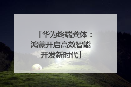 华为终端龚体：鸿蒙开启高效智能开发新时代