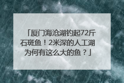 厦门海沧湖钓起72斤石斑鱼！2米深的人工湖为何有这么大的鱼？