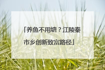 养鱼不用塘？江陵秦市乡创新致富路径