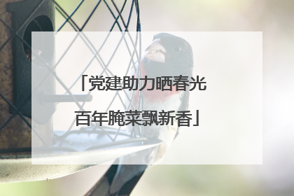 党建助力晒春光 百年腌菜飘新香