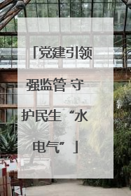 党建引领强监管 守护民生“水电气”
