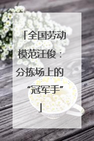 全国劳动模范汪俊：分拣场上的“冠军手”