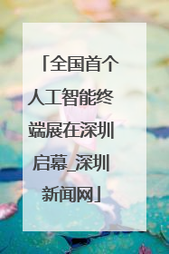 全国首个人工智能终端展在深圳启幕_深圳新闻网