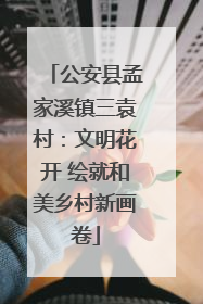 公安县孟家溪镇三袁村：文明花开 绘就和美乡村新画卷