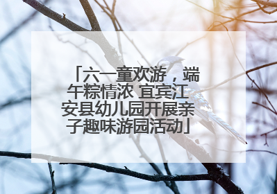 六一童欢游，端午粽情浓 宜宾江安县幼儿园开展亲子趣味游园活动