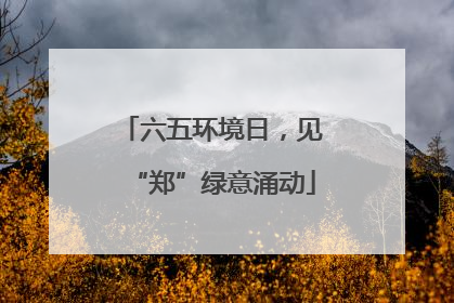 六五环境日，见“郑”绿意涌动