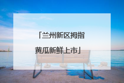 兰州新区拇指黄瓜新鲜上市