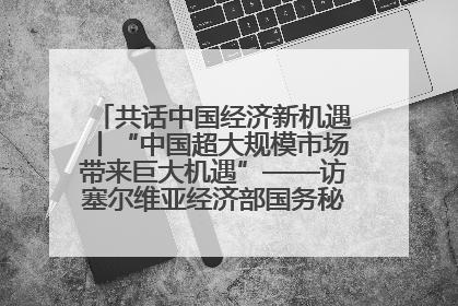 共话中国经济新机遇丨“中国超大规模市场带来巨大机遇”——访塞尔维亚经济部国务秘书尼科利奇