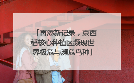 再添新记录，京西稻核心种植区频现世界极危与濒危鸟种
