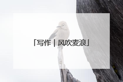 写作｜风吹麦浪
