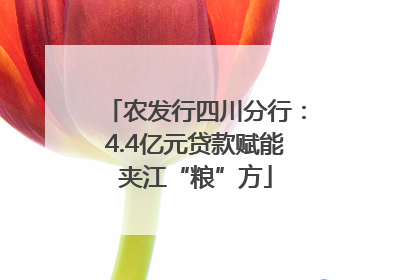 农发行四川分行：4.4亿元贷款赋能夹江“粮”方
