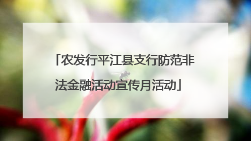 农发行平江县支行防范非法金融活动宣传月活动