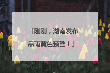 刚刚，湖南发布暴雨黄色预警！