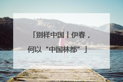 别样中国丨伊春，何以“中国林都”