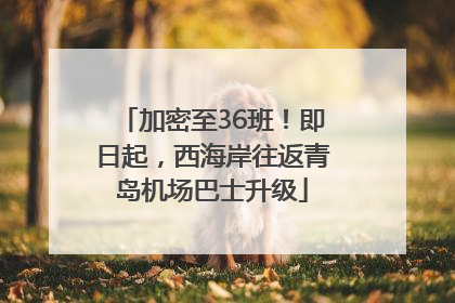 加密至36班！即日起，西海岸往返青岛机场巴士升级