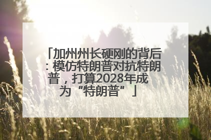 加州州长硬刚的背后：模仿特朗普对抗特朗普，打算2028年成为“特朗普”