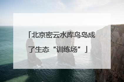 北京密云水库鸟岛成了生态“训练场”