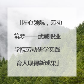 匠心领航，劳动筑梦——武威职业学院劳动研学实践育人取得新成果