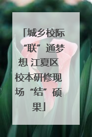 城乡校际“联”通梦想 江夏区校本研修现场“结”硕果