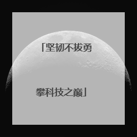 坚韧不拔勇攀科技之巅