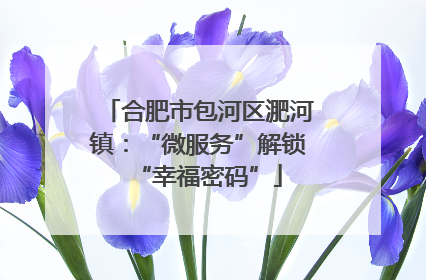 合肥市包河区淝河镇：“微服务”解锁“幸福密码”