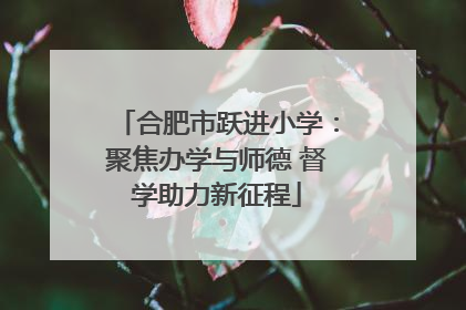 合肥市跃进小学：聚焦办学与师德 督学助力新征程