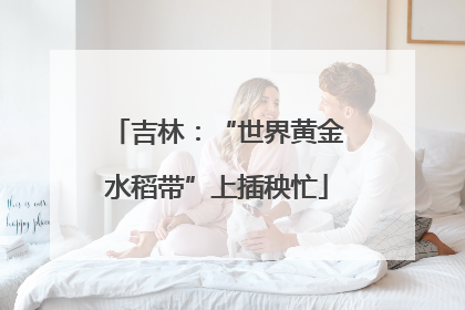 吉林：“世界黄金水稻带”上插秧忙