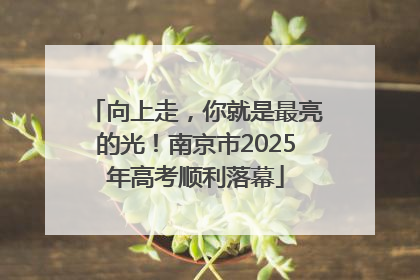 向上走，你就是最亮的光！南京市2025年高考顺利落幕