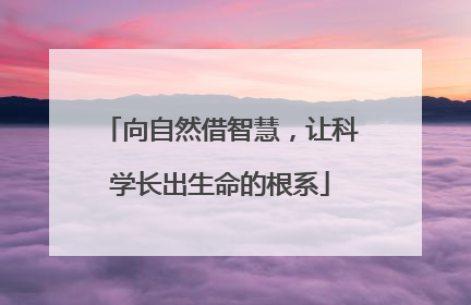 向自然借智慧，让科学长出生命的根系