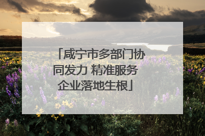 咸宁市多部门协同发力 精准服务企业落地生根