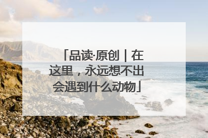 品读·原创｜在这里，永远想不出会遇到什么动物