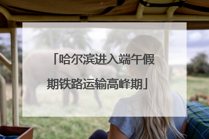 哈尔滨进入端午假期铁路运输高峰期