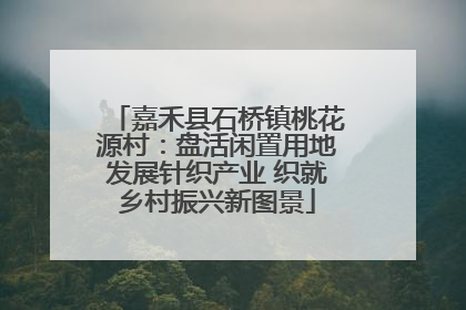 嘉禾县石桥镇桃花源村：盘活闲置用地发展针织产业 织就乡村振兴新图景