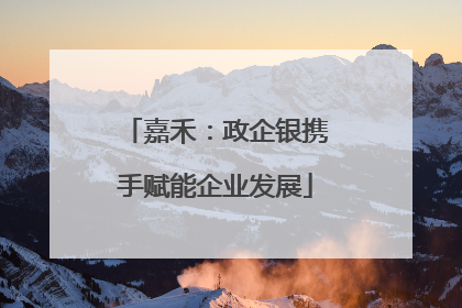 嘉禾：政企银携手赋能企业发展