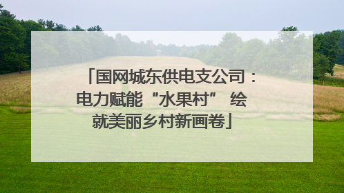 国网城东供电支公司：电力赋能“水果村” 绘就美丽乡村新画卷