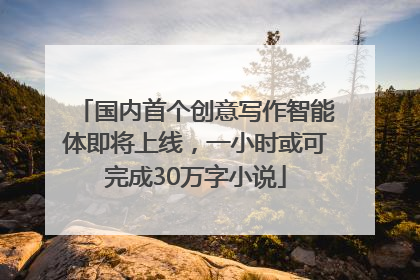 国内首个创意写作智能体即将上线，一小时或可完成30万字小说