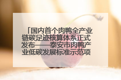 国内首个肉鸭全产业链碳足迹核算体系正式发布——泰安市肉鸭产业低碳发展标准示范项目顺利通过验收