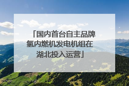 国内首台自主品牌氢内燃机发电机组在湖北投入运营