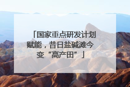 国家重点研发计划赋能，昔日盐碱滩今变“高产田”