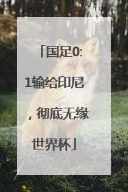 国足0:1输给印尼，彻底无缘世界杯