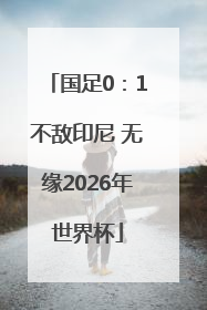 国足0：1不敌印尼 无缘2026年世界杯