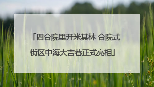 四合院里开米其林 合院式街区中海大吉巷正式亮相